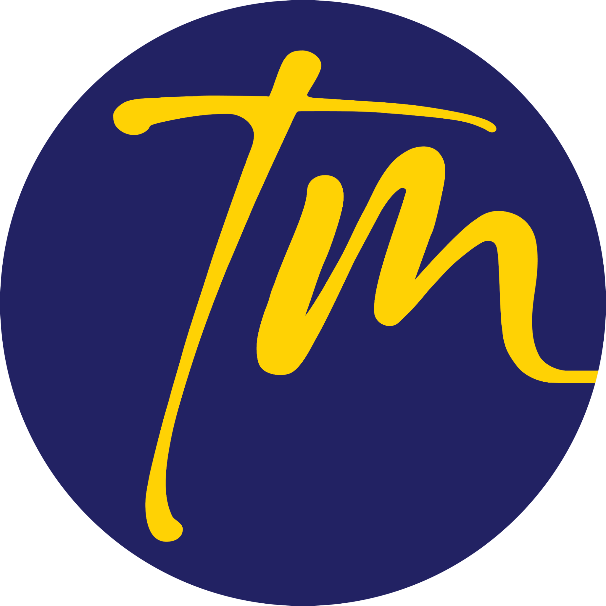 TouchMedia Logo